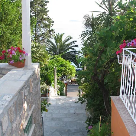 Guest house Carmen &