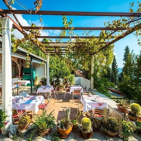 Guest house Carmen &