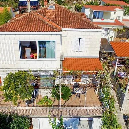 Guest house Carmen & 3*