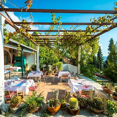Carmen Rooms&apartments 3*
